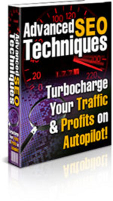 Product picture Advanced SEO Techniques 2009