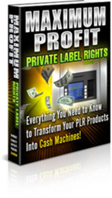 Product picture Max Profit PLR 2009